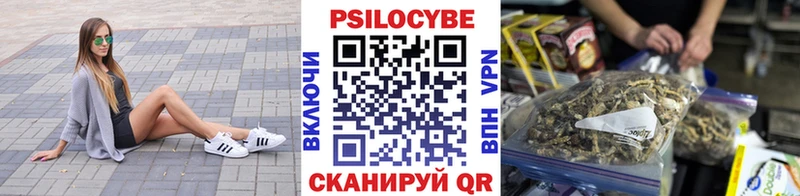 Галлюциногенные грибы Psilocybe Алдан
